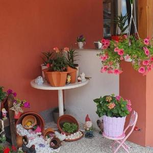 Apartman Leon