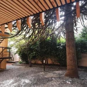 Hermoso monoambiente de diseño único con patio en el centro de SMA. 4v5