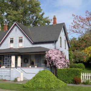 Blue Gull Inn Bed and Breakfast