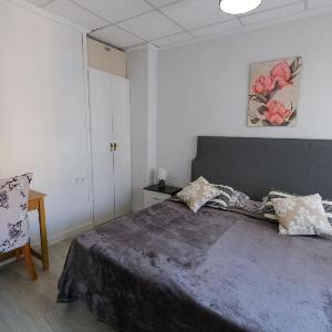 Estudio SOL en Alicante