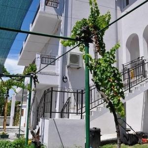 Apartments Maja