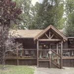 ER308- The Cozy Bear- Great location- Close to town cabin Tennessee