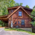 MYSTIC MOUNTAIN - GREAT LOCATION! CLOSE TO ALL THE ACTION! cabin Tennessee