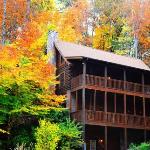 ER298- Renewed Spirit Great location- Close to town cabin Tennessee
