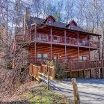 ER305 - Bear Right Inn Pigeon Forge Tennessee