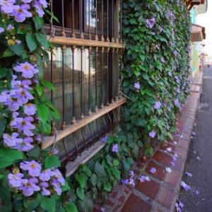 Casa Ruta Sur