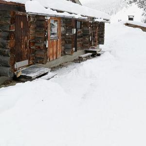 Classic Log Cabin Ski-in Ski-out