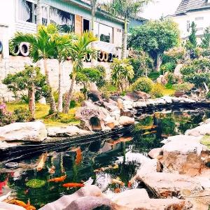 Mai Anh Đào Homestay