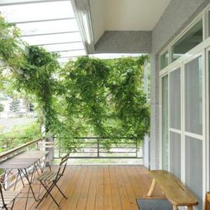 3520 Homestay 台東縣民宿編號586號