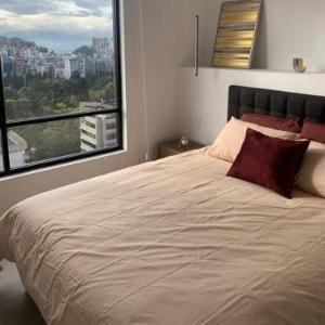 Confort suite La Carolina