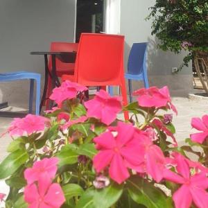 Duplex House