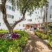 Treehouse Miami Beach Hotels - Hotel Belleza