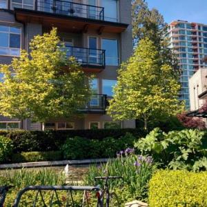 Vancouver Airport Park And Fly Hotels Vancouver Airport Park And Fly Hotels