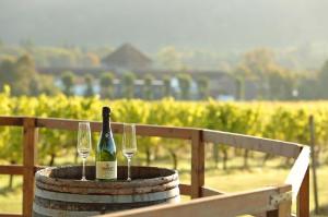 Denbies Vineyard Hotel, Dorking