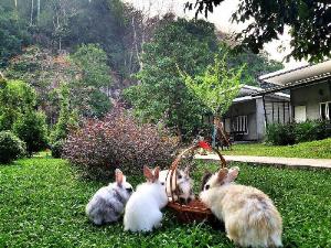 V Valley Resort, Satun