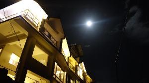 Dunn Perk Manor, Kasauli
