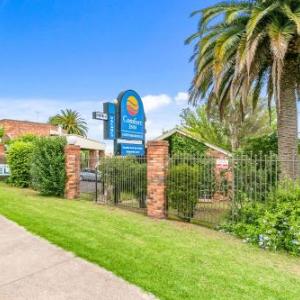 Box Hill City Oval Hotels - Comfort Inn Greensborough