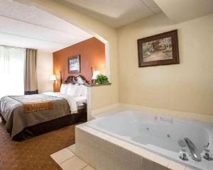 Comfort Inn & Suites at I-85, Spartanburg
