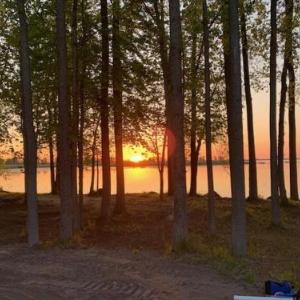 Sunrise Shore