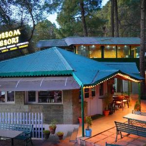 Blossom Resort Kasauli