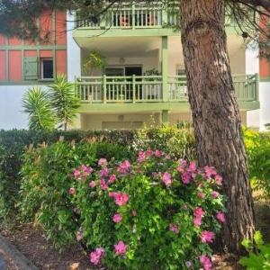 BERGES LANDAISES - Grand T2 avec terrasse exposée sud est