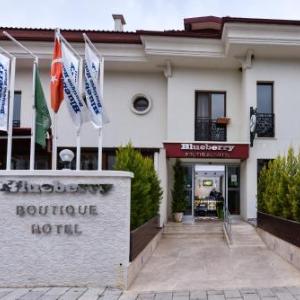 Blueberry Boutique Hotel