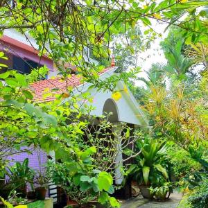 Bella Boutique Homestay