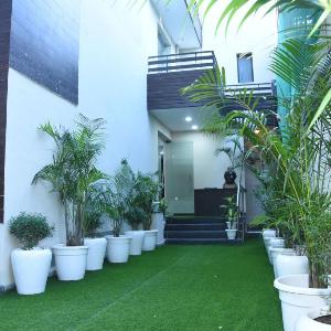 Posh Suites - Golf Course Road