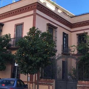 Misterhost Conde de Torrejón