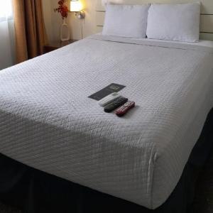 Cardedeu Suites
