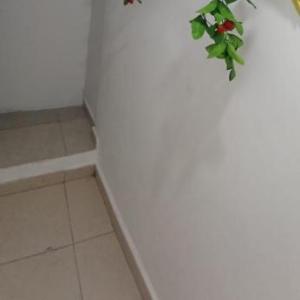 Encantadora casa con ambiente guajiro #3