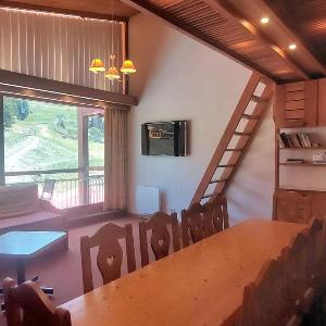 Appartement spacieux 9 pers. · Ski aux pieds · Wifi inclus