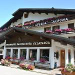 Hotel Stella Alpina 