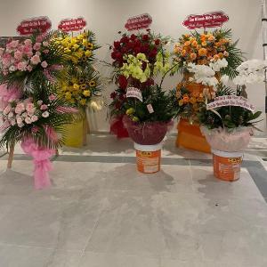 Mimosa Hotel Phú Quốc