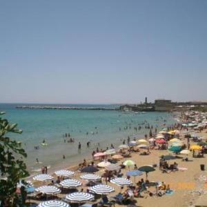 Stella del Sud