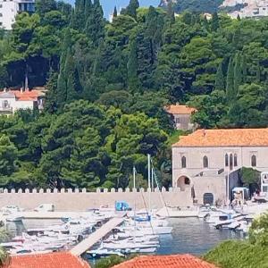 Ivana apartman free private parking