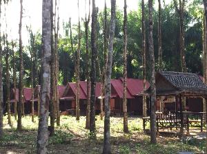 Khao Sok Evergreen House, Khao Sok