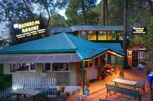 Blossom Resort, Kasauli