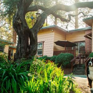 Hotels near Mendocino County Fair - Anderson Valley Inn