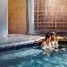 Fairmont Sonoma Mission Inn & Spa