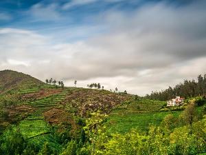 Green Nest Resort Ooty, Coonoor