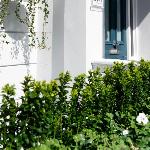 SW1 Apartments
