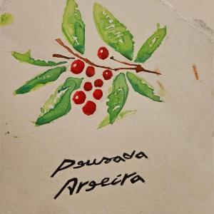 Pousada Aroeira