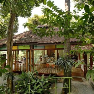 Ambong Rainforest Retreat