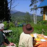 Teepee Meadows Guest Cottages