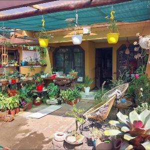 Casa Maranta