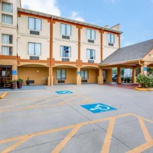 Comfort Inn & Suites Love Field-Dallas Market Center