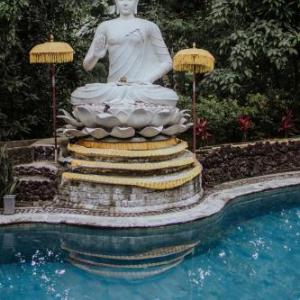 Surf & Yoga Bali
