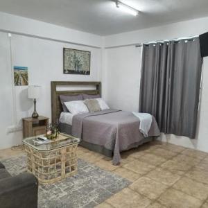 Roseau City Hub apt # 3