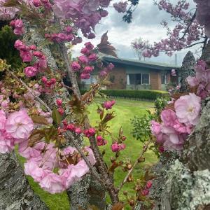 Roselake Retreat